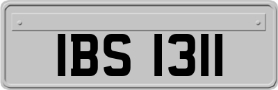 IBS1311