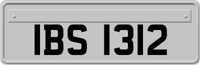 IBS1312