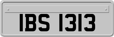 IBS1313