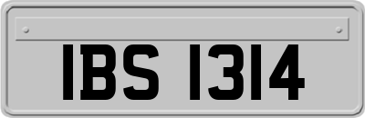 IBS1314