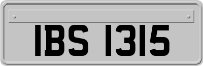 IBS1315