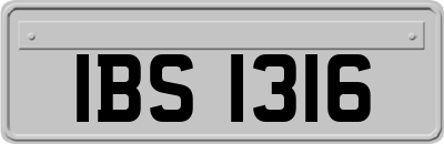 IBS1316