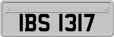 IBS1317