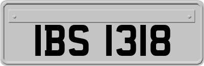 IBS1318