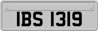 IBS1319