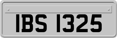 IBS1325