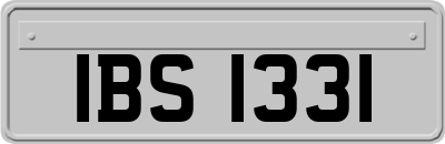 IBS1331
