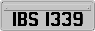 IBS1339