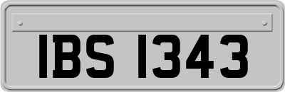 IBS1343