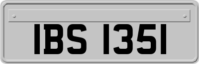 IBS1351