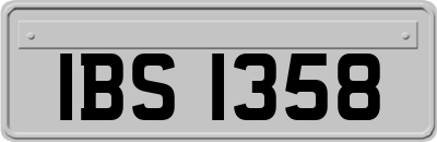 IBS1358