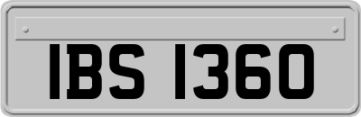 IBS1360