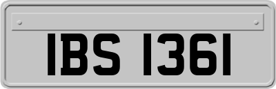 IBS1361