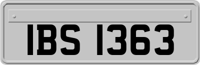 IBS1363