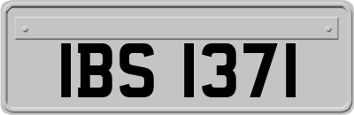 IBS1371
