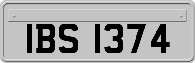 IBS1374