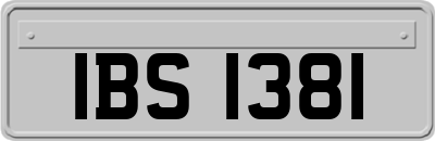 IBS1381