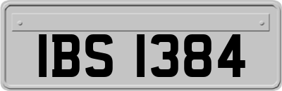 IBS1384