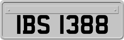 IBS1388