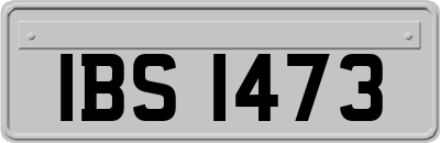 IBS1473