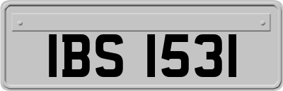 IBS1531