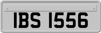 IBS1556