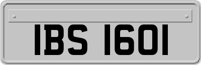 IBS1601