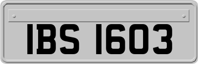 IBS1603