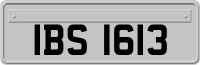 IBS1613