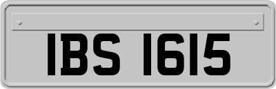IBS1615