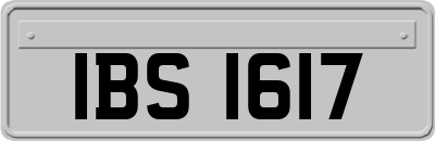 IBS1617
