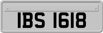 IBS1618