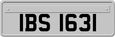 IBS1631