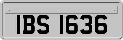 IBS1636