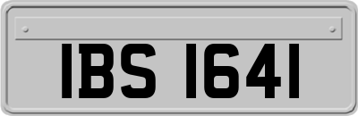 IBS1641