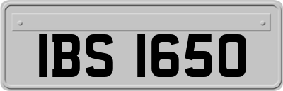 IBS1650