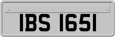 IBS1651