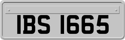 IBS1665