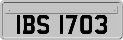 IBS1703