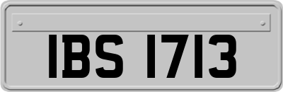 IBS1713