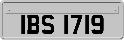 IBS1719
