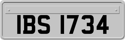 IBS1734