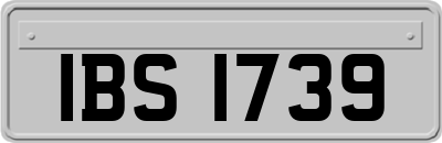IBS1739
