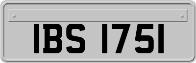 IBS1751