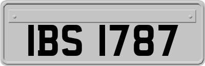 IBS1787