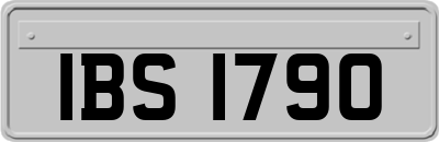 IBS1790