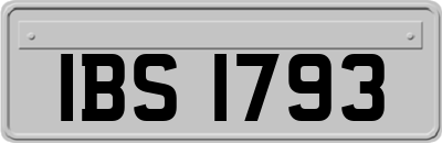 IBS1793