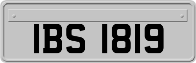 IBS1819