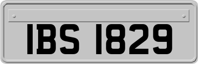 IBS1829