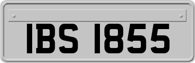 IBS1855